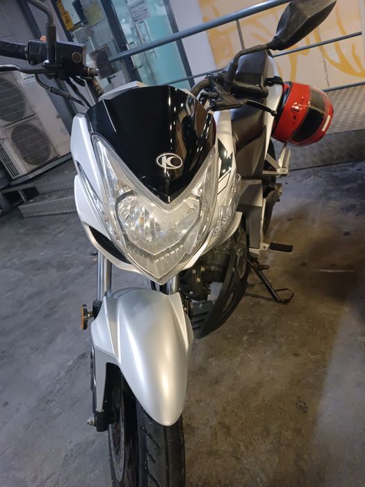 Mota kinco visar 2022