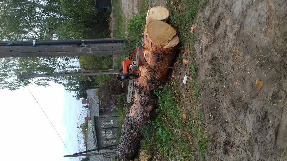 Wycinka pielęgnacja drzew rębak czyszczenie koszenie działek mielenie