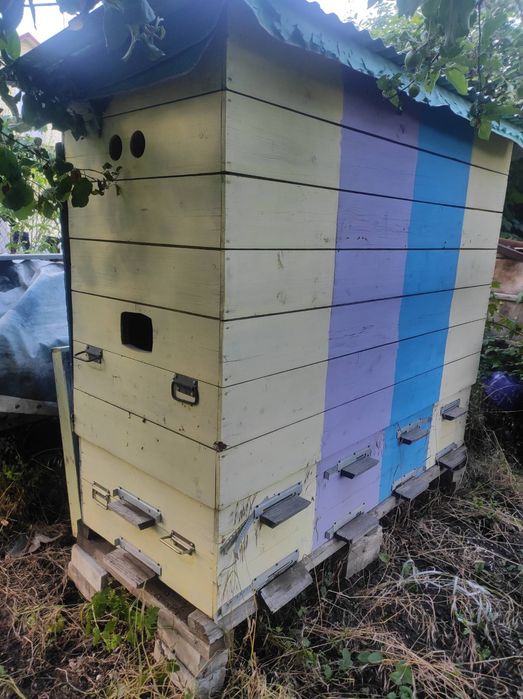 Апидомик - На четыре семьи