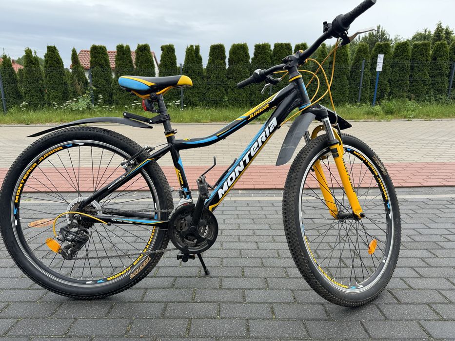 Rower Monteria Junior 26