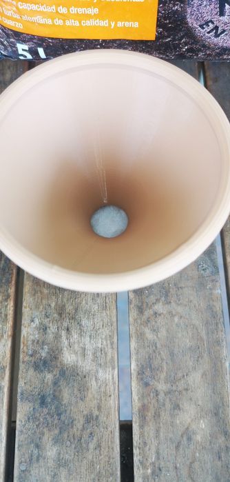 Vaso Suculenta e cactos