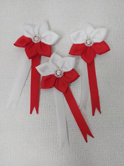 Kotyliony dzień niepodległości akademia szkolna