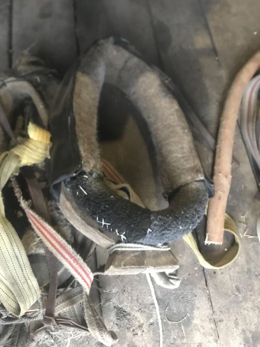 Продам хомути на коня