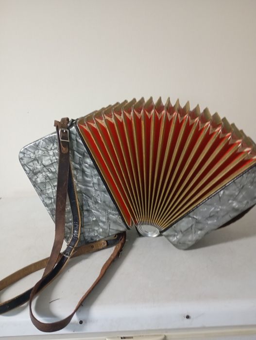 Concertina Hohner