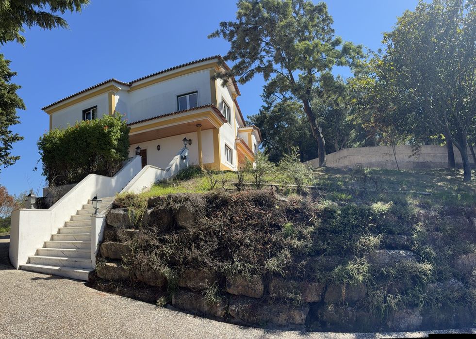 Quartos com muita luz natural disponível para arrendar