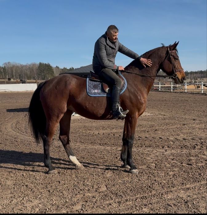 Klacz - wszechstronna