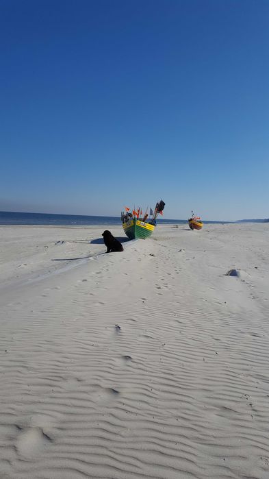 Domki Dębki nocleg wynajem