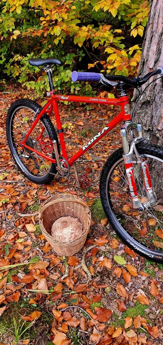 rower mtb Kona cinder górski
