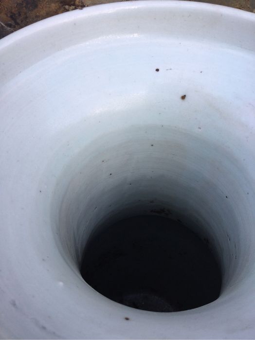 Jarrão Porcelana Celadon Chinesa Séc XVIII 60 cm Pavões China