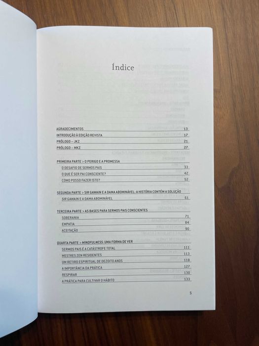 Pais Conscientes, Filhos Felizes - Jon Kabat-Zinn e Myla Kabat-Zinn