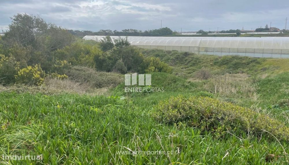Venda de Terreno de Terreno Agrícola, em Estela, Póvoa de Varzim