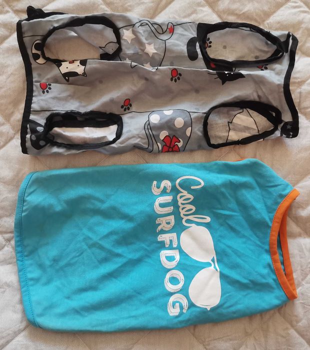 Речі для маленьких собак