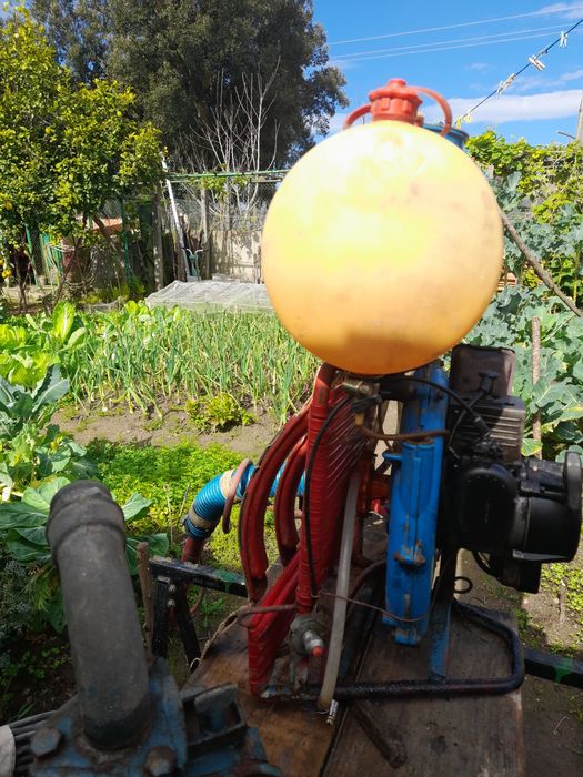 Sulfatador com motor a gasolina