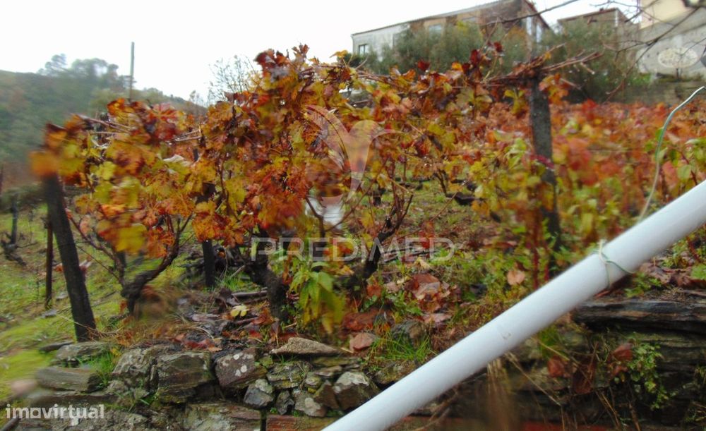 Moradia geminada para restaurar em Vila Real