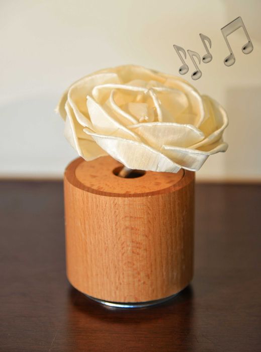 Difusor de aroma para casa - Caixa música - perfumador óleo aromático