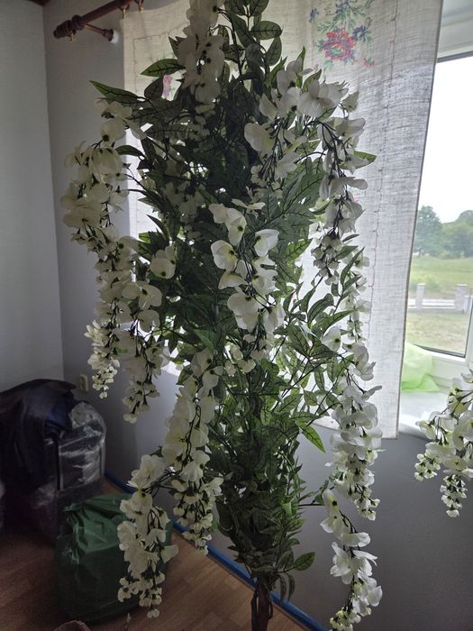 Drzewko Wisteria nowe 180 cm