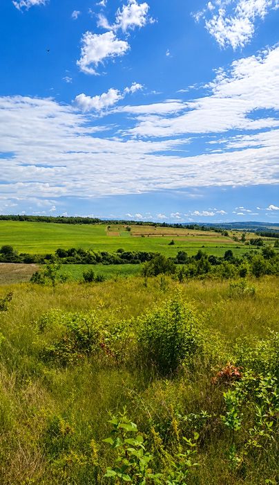 Ділянка під будівництво , на перспективу, Великі Лази