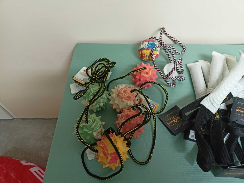 dingo,  piłka gumowa z kolcami na sznurku