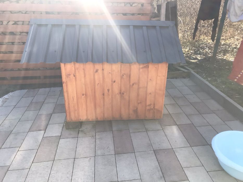 Буда для собаки.