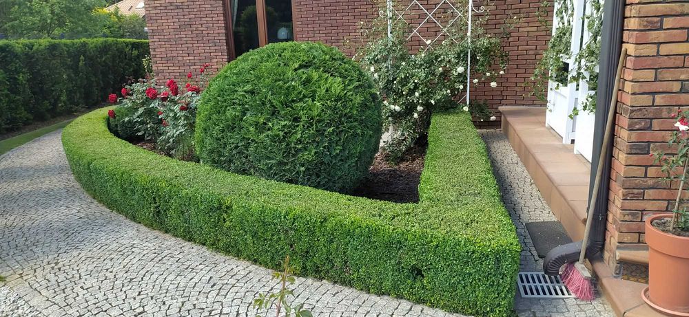 Pielęgnacja ogrodów - Wycena darmowa