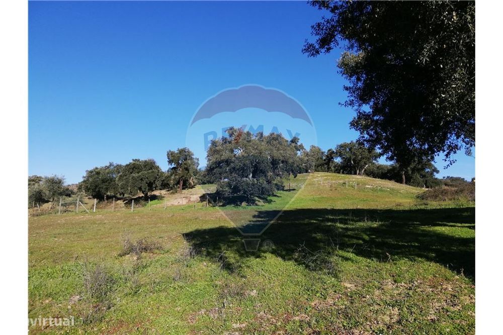 Terreno  para venda — Ulme, Santarém