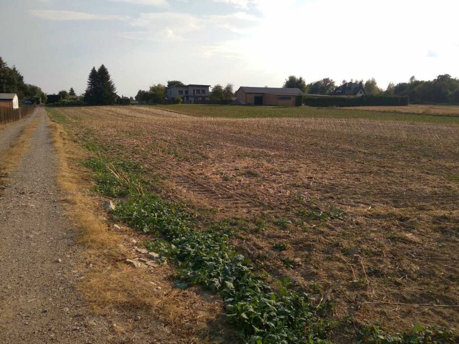 Działka budowlana Stasin pod Lublinem, 5min od miasta, dużo zieleni! - Widok 2