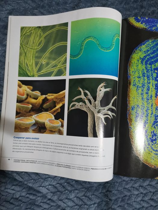 Edições especiais da National geographic