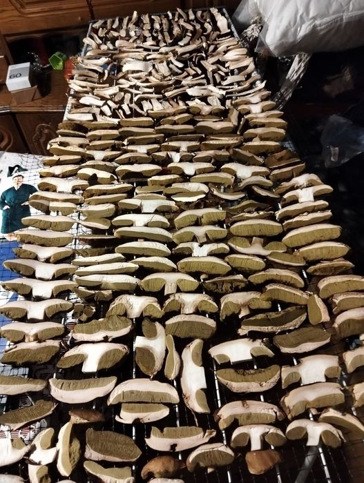 Borowik szlachetny suszone grzyby  prawdziwek 300 gram