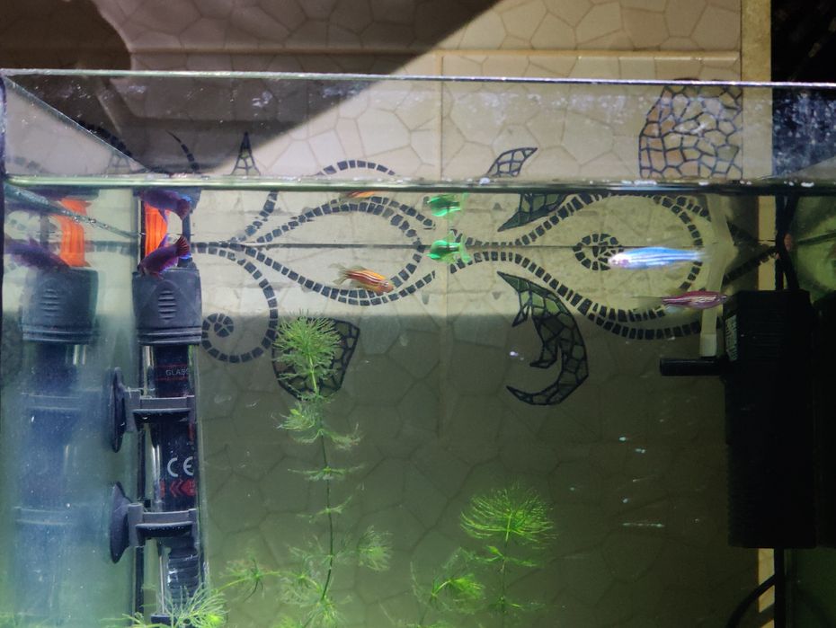 Аквариум 27л полная комплектация