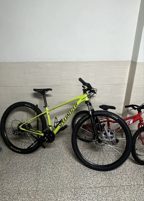 Specialized rockhopper 29