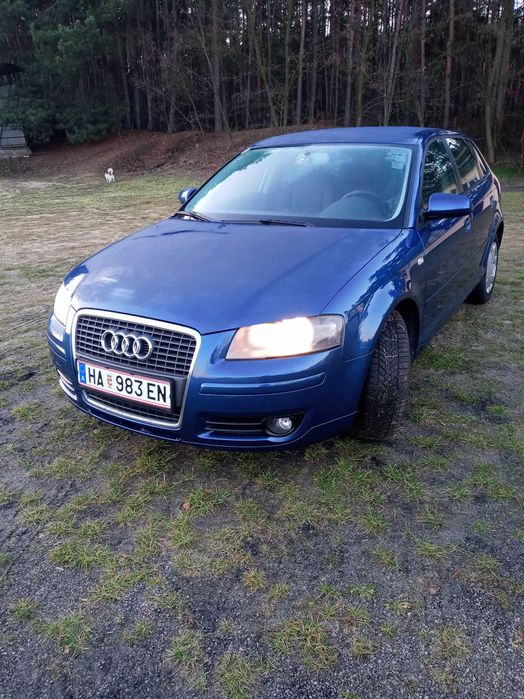 AUDI A3 8P 1.9 TDI .Bezwypadkowy,serwisowany.