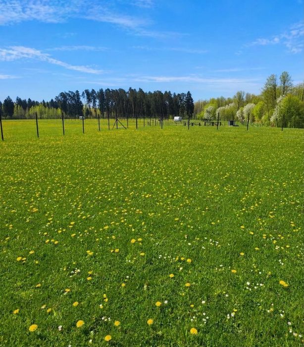 Działka rekreacyjna -Mazury, Las&jezioro