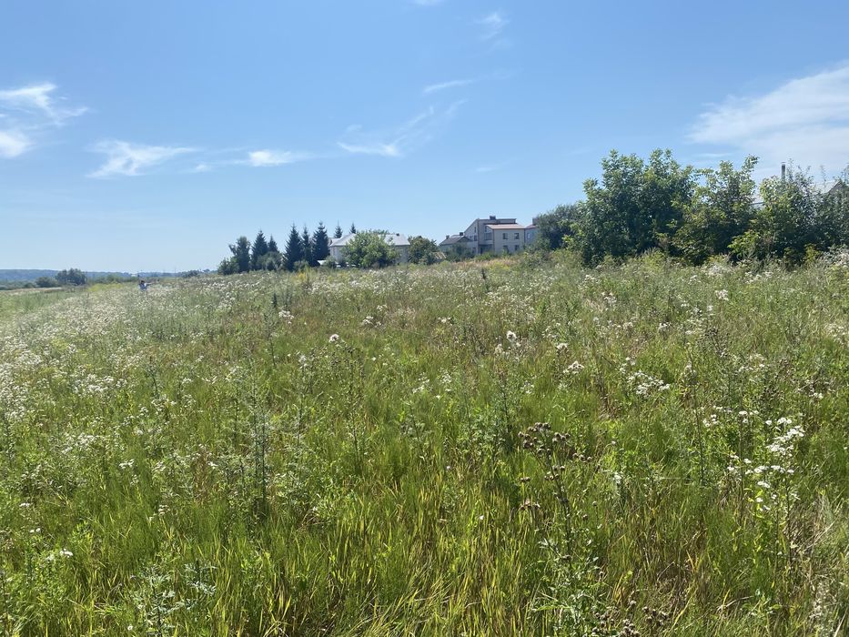 Продам земельну ділянку в Петриках