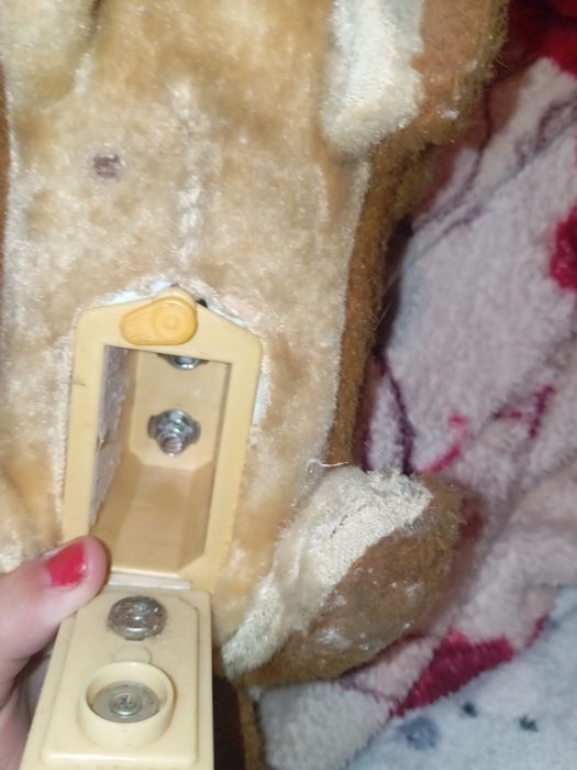 Cão sem pilhas n sei se funciona