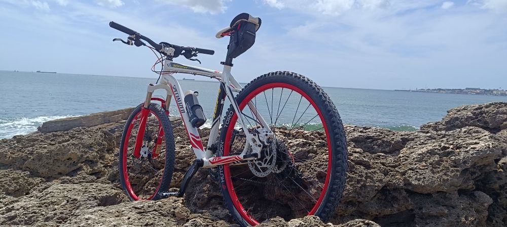 Especialized mountain bike