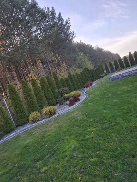 Usługi ogrodnicze i porządkowe