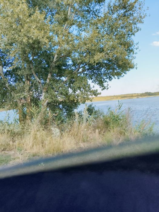 Терміново! Продаж будинку с. Виводове 231  кв.м   30 сот з комуникаціями, сауна, гараж