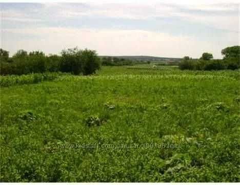 Продам участок Земли в с. Гоголев, Броварской район