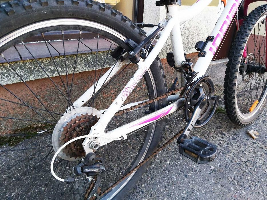 Rower Indiana Roxy Koła 24" Biały LoombardNidzicaLombard