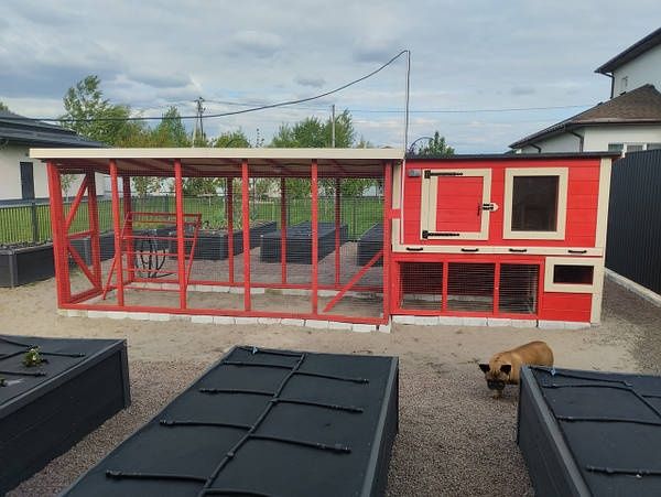 МІНІ-КУРНИК 7-10 курей | Стильний Компактний Теплий 3-10 кур з вольєро