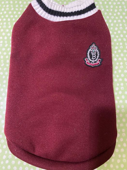 Светр на флісі на собачку спинка 38см