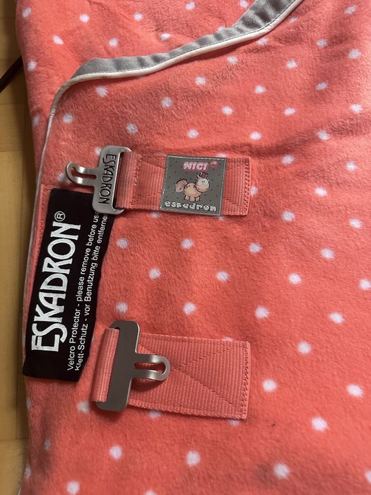 Eskadron nici derka