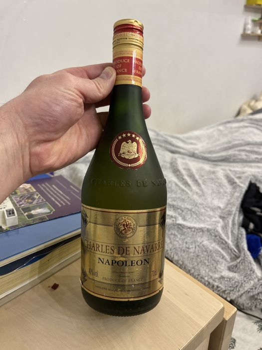 Napoleon Charles De Navarre