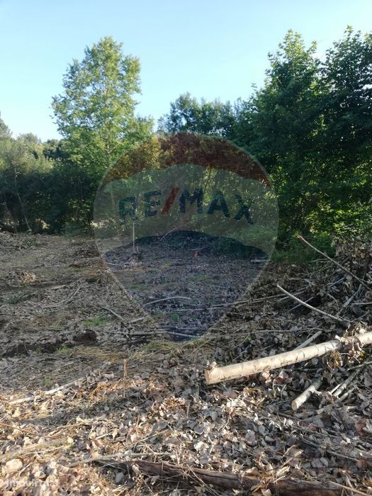 Terreno  para venda