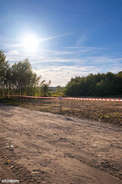 3 Działki budowlane z pozwoleniem na budowę Nowe Bielice 9ar. Łąka las - Widok 5