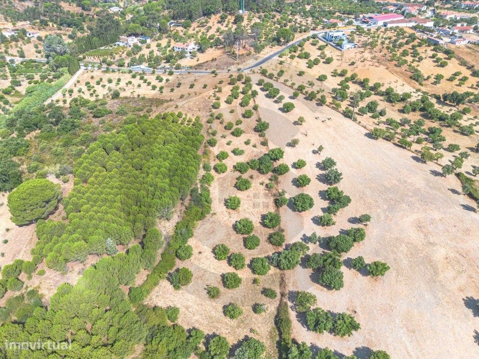 Terreno
