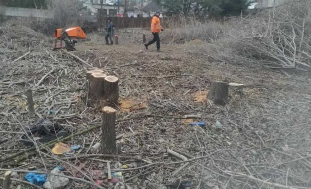 Прибирання Покос участка /Спил выкорчевка Розчищення ділянок територій