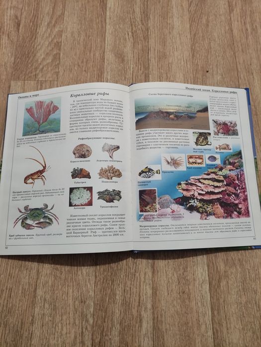 Книга для школьников