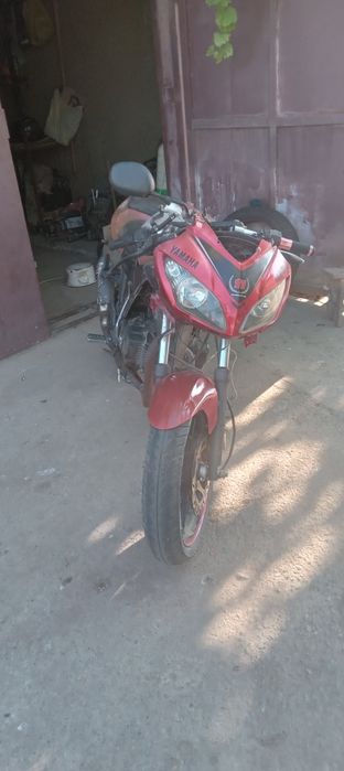 Продам мустанг 200-10