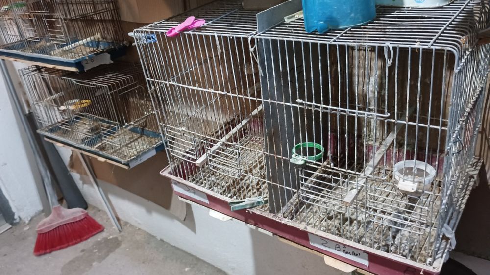 Gaiolas para aves e ninhos gr2